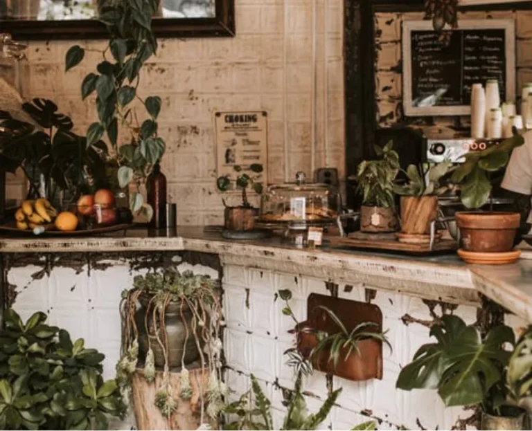 post img 2 optimized