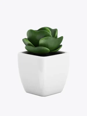 product image 9 optimized